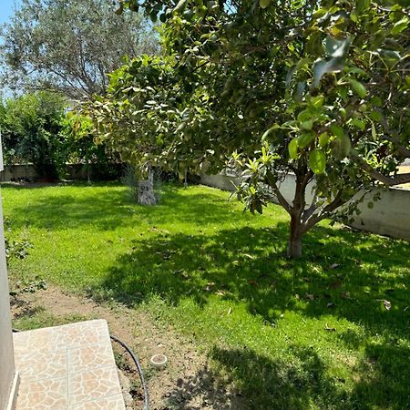 Fotis House Apartment Afantou Ngoại thất bức ảnh